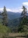 Expanses of forests in the mountains of the natural park of Borjiomi in Georgia.