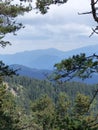 Expanses of forests in the natural park of Borjiomi in Georgia.