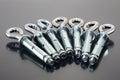 Expansion anchors. Royalty Free Stock Photo