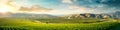 expansive aerial view of a vast vineyard, with rows of grapevines stretching to the horizon, ready for harvest