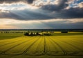 Expansive agricultural fields under a dramatic sky with sunbeams Royalty Free Stock Photo