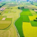 Expansive agricultural landscape with winding river and patchwork of vibrant green and yellow fields Royalty Free Stock Photo
