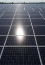Expansive array of solar panels arranged in a grid pattern under the bright sun. Each Royalty Free Stock Photo