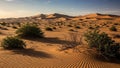 The scene conveys a sense of vastness and aridness typical of desert Royalty Free Stock Photo