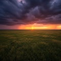 Expansive grassy field under a dramatic sky. Dark, heavy clouds contrast with the Royalty Free Stock Photo