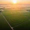 Expansive green fields feature distinct circular patterns, resembling large crop circles. Royalty Free Stock Photo