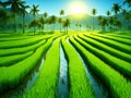 Expansive green rice fields under a bright blue sky with fluffy clouds Royalty Free Stock Photo