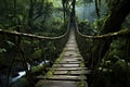 Expansive Jungle bridge forest. Generate Ai Royalty Free Stock Photo