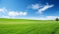Expansive landscape with lush green fields, fresh grass, and serene blue sky with fluffy clouds