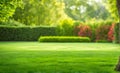 Expansive lawn edged with vibrant green trim leading to a blank area