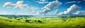 Expansive lush green field under a vibrant blue sky with fluffy white clouds surrounded by a line of trees on the horizon Royalty Free Stock Photo