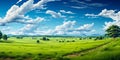 Expansive lush green field under a vibrant blue sky with fluffy white clouds surrounded by a line of trees on the horizon Royalty Free Stock Photo