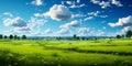 Expansive lush green field under a vibrant blue sky with fluffy white clouds surrounded by a line of trees on the horizon Royalty Free Stock Photo