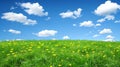 Expansive meadow under vast sky tranquil nature background scene for serene views Royalty Free Stock Photo