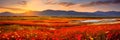 expansive meadows , where gentle breezes sway through wildflowers and tall grass. Royalty Free Stock Photo