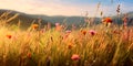 expansive meadows , where gentle breezes sway through wildflowers and tall grass. Royalty Free Stock Photo