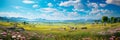 expansive meadows , where gentle breezes sway through wildflowers and tall grass. Royalty Free Stock Photo