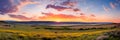 expansive meadows , where gentle breezes sway through wildflowers and tall grass. Royalty Free Stock Photo