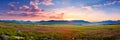 expansive meadows , where gentle breezes sway through wildflowers and tall grass. Royalty Free Stock Photo