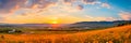 expansive meadows , where gentle breezes sway through wildflowers and tall grass. Royalty Free Stock Photo