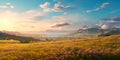 expansive meadows , where gentle breezes sway through wildflowers and tall grass. Royalty Free Stock Photo