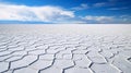 Expansive salt flats, exhibiting crystalline patterns