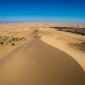 Expansive sand dunes stretch into the distance under a clear, deep blue sky. The Royalty Free Stock Photo