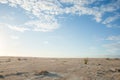 Expansive sandy coastal scene with single reed growing under blue sky with white clouds