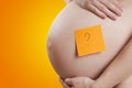 Expectant mother Royalty Free Stock Photo