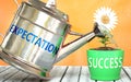 Expectation helps achieve success - pictured as word Expectation on a watering can to show that it makes success to grow and it is Royalty Free Stock Photo