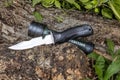 Expedition knife and flashlight waterproof on the tree trunk in the forest Royalty Free Stock Photo