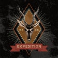 Expedition travel logo design vector Royalty Free Stock Photo