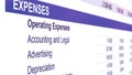 Expences accounting information, small business year budget table document