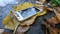 Phone with broken screen in autumn leaves lying on concrete path