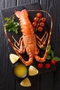 Expensive food: spiny boiled lobster with fresh tomato, lemon an