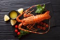 Expensive food: spiny boiled lobster with fresh tomato, lemon an