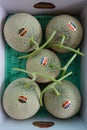 Expensive honeydew melons in Hokkaido, Japan