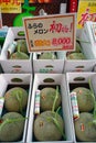 Expensive honeydew melons in Hokkaido, Japan