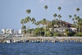 Expensive House Surrounded by Palm Trees with Apartment Buildings in the distance