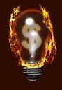 Expensive light bulb Royalty Free Stock Photo