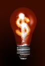Expensive light bulb Royalty Free Stock Photo