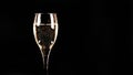 Expensive and luxurious vintage champagne with delicate bubbles in a wine glass on a black background Royalty Free Stock Photo