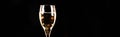 Expensive and luxurious vintage champagne with delicate bubbles in a wine glass on a black background Royalty Free Stock Photo