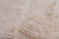 Expensive quartzite background as part of your perfect design work. Royalty Free Stock Photo