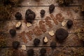 Expensive rare black truffle mushroom Royalty Free Stock Photo