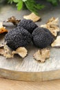 Expensive rare black truffle mushroom