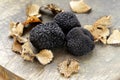 Expensive rare black truffle mushroom