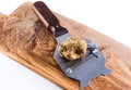 Expensive white truffle from Alba and steel slicer