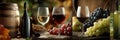 Experience the art of wine tasting and winemaking in a rustic setting Royalty Free Stock Photo