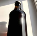 Crafted Perfection: Isolated Beer Bottle and Glass